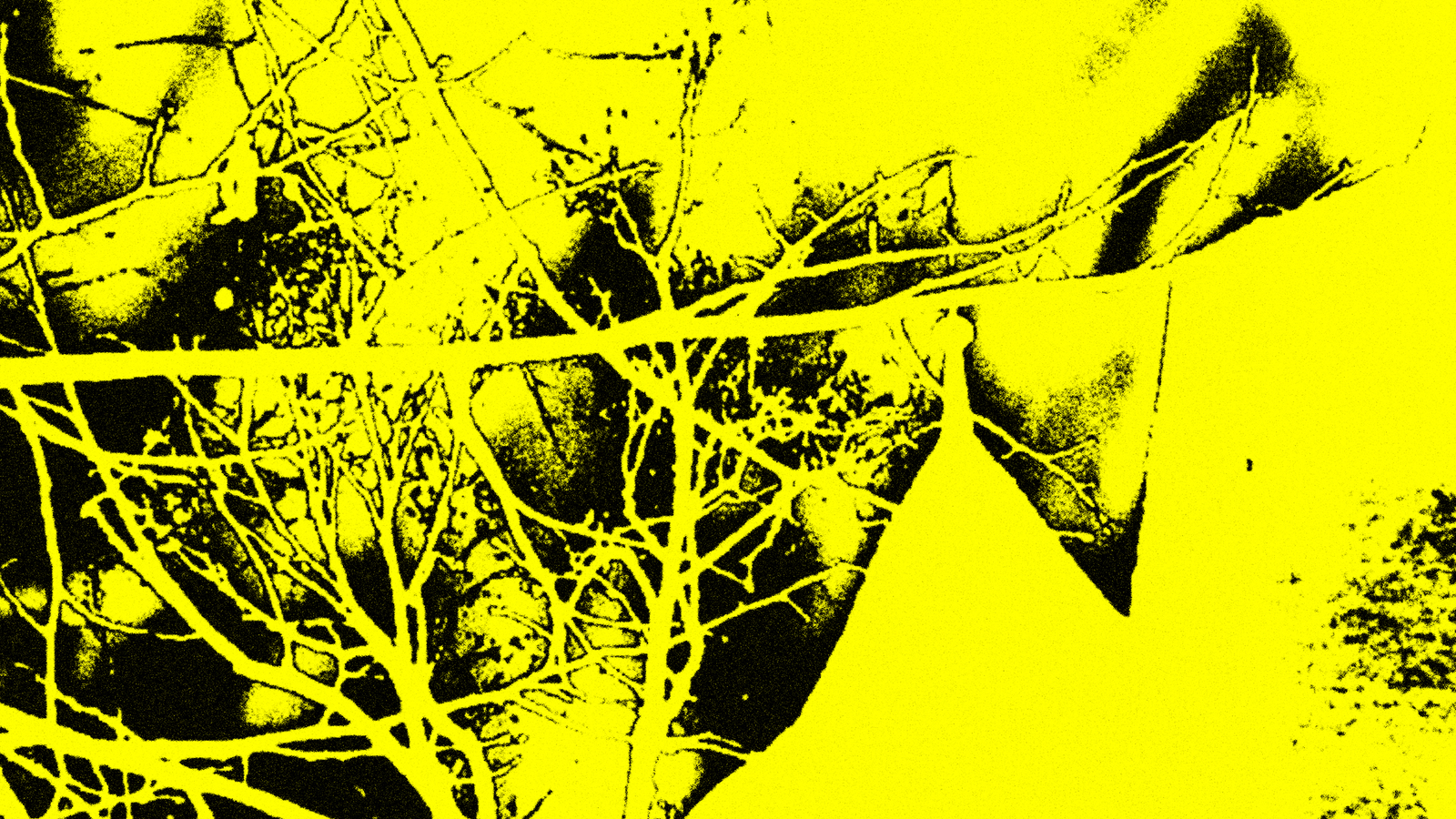 Wide 211013 pf2122 halloween image site